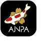 AJNPA NISHIKIGOI Logo